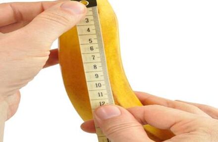 Normal Dimensions of the Penis