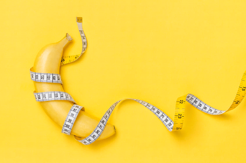 The average penis size is in an erection - 13.12 cm